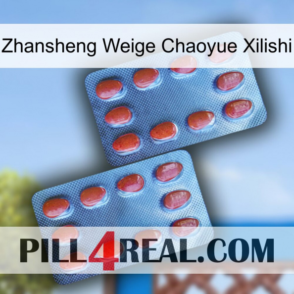 Zhansheng Weige Chaoyue Xilishi 05.jpg